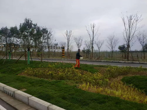 興平首條海綿城市設(shè)施道路通過驗(yàn)收